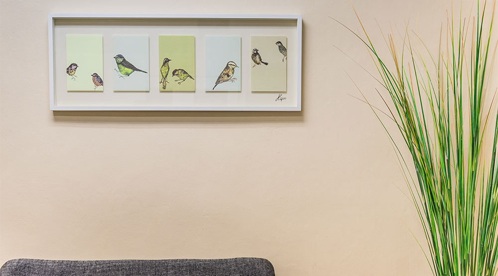 site-banner